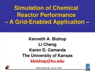 Simulation of Chemical Reactor Performance – A Grid-Enabled Application –