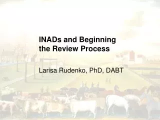 INADs and Beginning the Review Process