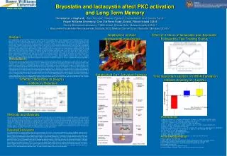 Bryostatin and lactacystin affect PKC activation and Long Term Memory