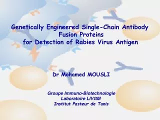 Genetically Engineered Single-Chain Antibody Fusion Proteins for Detection of Rabies Virus Antigen Dr Mohamed MOUSLI Gr