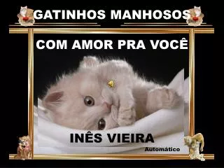 GATINHOS MANHOSOS COM AMOR PRA VOCÊ