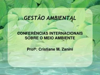 gest o ambiental
