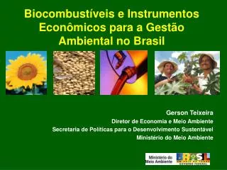 Biocombustíveis e Instrumentos Econômicos para a Gestão Ambiental no Brasil