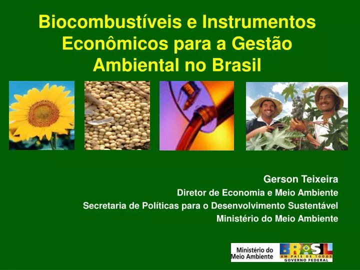 biocombust veis e instrumentos econ micos para a gest o ambiental no brasil