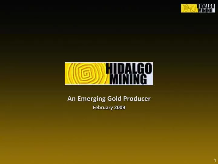 an emerging gold producer february 2009