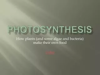 photosynthesis