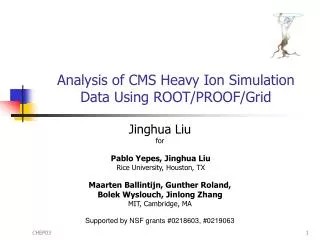 Analysis of CMS Heavy Ion Simulation Data Using ROOT/PROOF/Grid