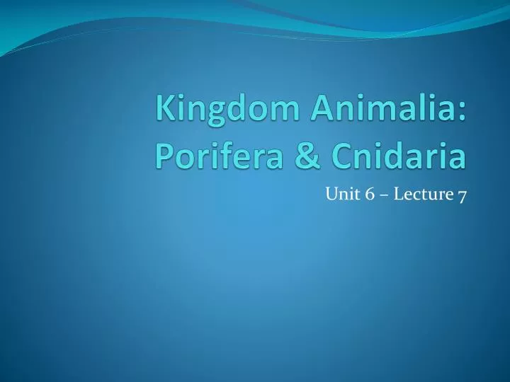 kingdom animalia porifera cnidaria