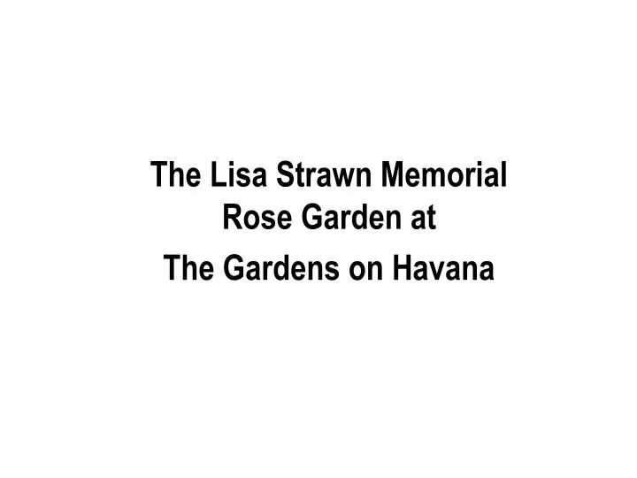 the lisa strawn memorial rose garden at the gardens on havana