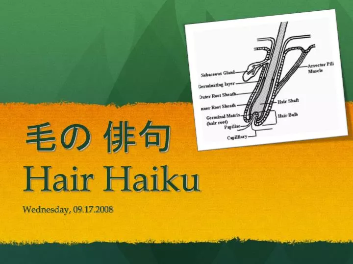 hair haiku