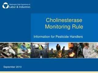 Cholinesterase Monitoring Rule