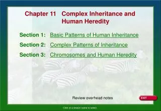 Section 1: Basic Patterns of Human Inheritance