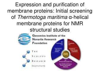 Expression and purification of membrane proteins: Initial screening of Thermotoga maritima ?-helical membrane proteins
