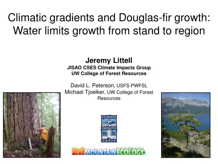 climatic gradients and douglas fir growth water limits growth from stand to region