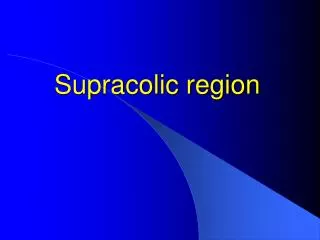 Supracolic region