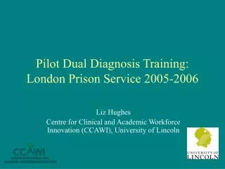 Pilot Dual Diagnosis Training: London Prison Service 2005-2006