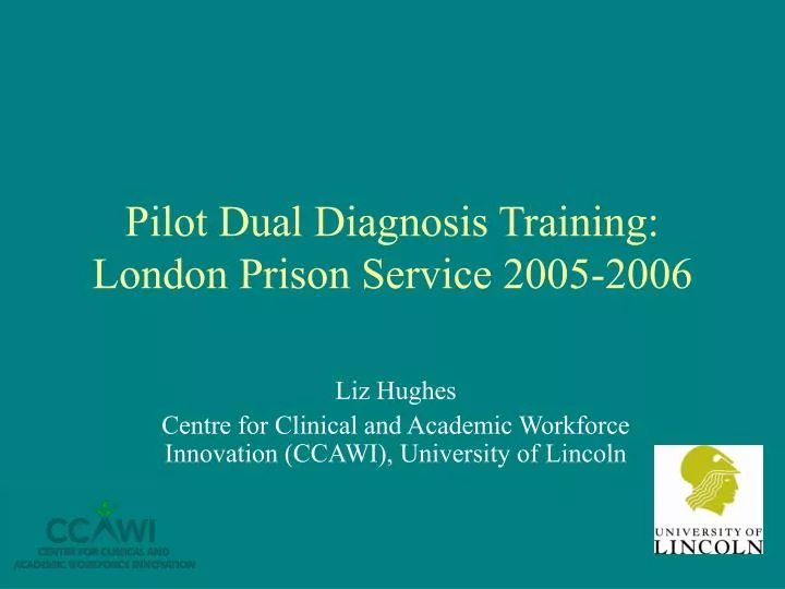 pilot dual diagnosis training london prison service 2005 2006