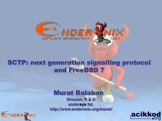 SCTP: next generation signalling protocol and FreeBSD 7