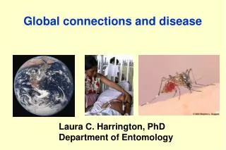 Global connections and disease