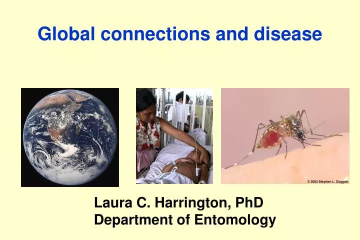 global connections and disease