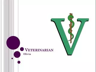 Veterinarian