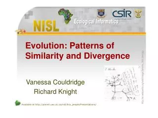 Evolution: Patterns of Similarity and Divergence