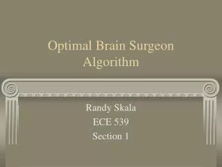 Optimal Brain Surgeon Algorithm