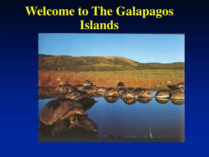 welcome to the galapagos islands