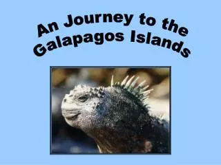 An Journey to the Galapagos Islands