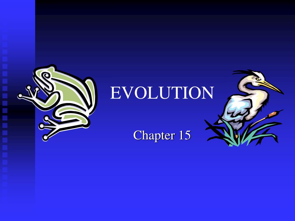 PPT - EVOLUTION PowerPoint Presentation, free download - ID:81729