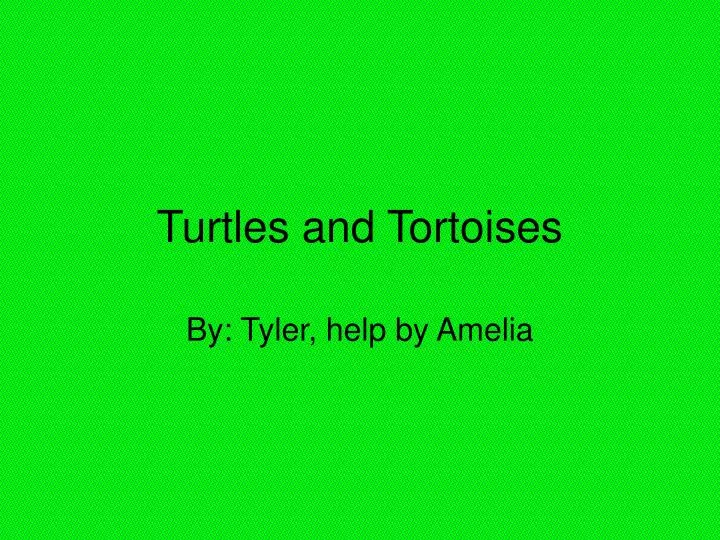 turtles and tortoises