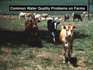 Common Water Quality Problems on Farms