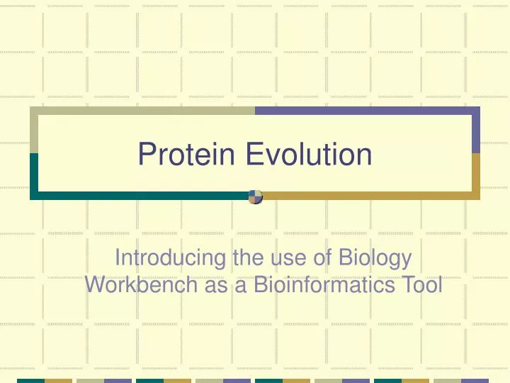 protein evolution