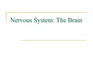 Nervous System: The Brain