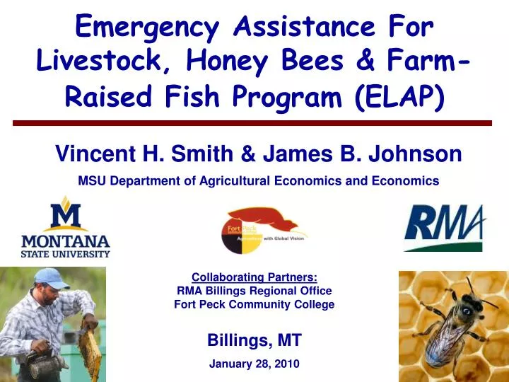 emergency assistance for livestock honey bees farm raised fish program elap