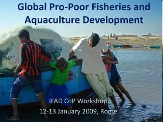 Global Pro-Poor Fisheries and Aquaculture Development