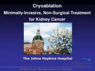 Cryoablation Minimally-Invasive, Non-Surgical Treatment for Kidney Cancer