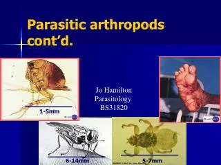 Parasitic arthropods cont’d.