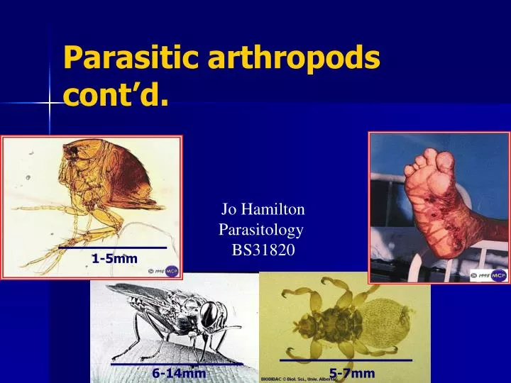 parasitic arthropods cont d