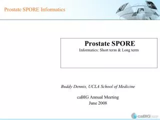 Prostate SPORE Informatics: Short term &amp; Long term