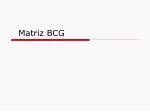 Matriz BCG - slide 1