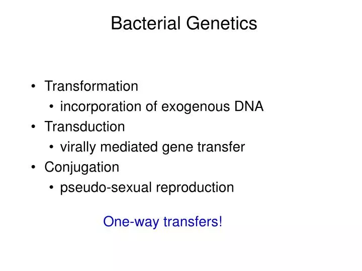 bacterial genetics