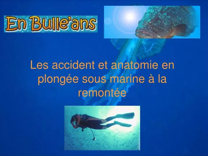 les accident et anatomie en plong e sous marine la remont e