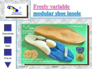 Freely variable modular shoe insole