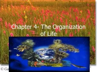 Chapter 4- The Organization of Life