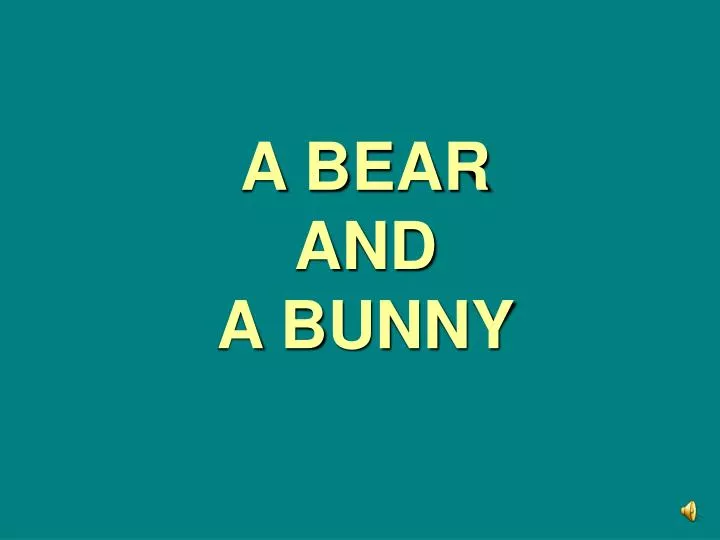 a bear and a bunny