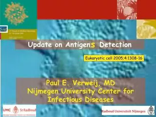 Update on Antigen Detection