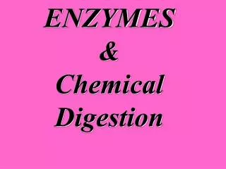 ENZYMES &amp; Chemical Digestion