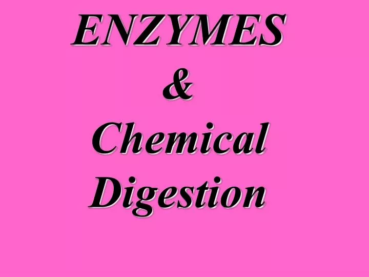 enzymes chemical digestion