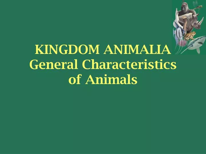 kingdom animalia general characteristics of animals